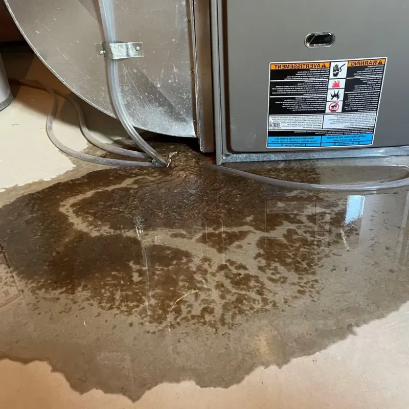 Pipe Burst and Leak Restoration in Rosaryville, MD